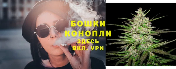 ПСИЛОЦИБИНОВЫЕ ГРИБЫ Краснотурьинск