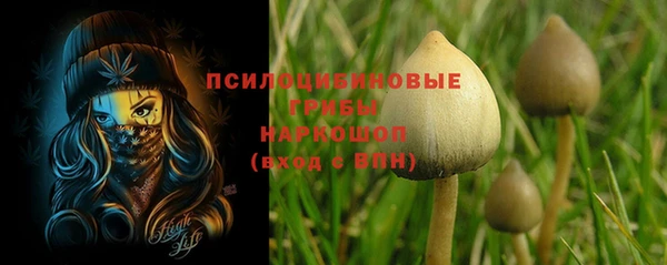 скорость Костерёво