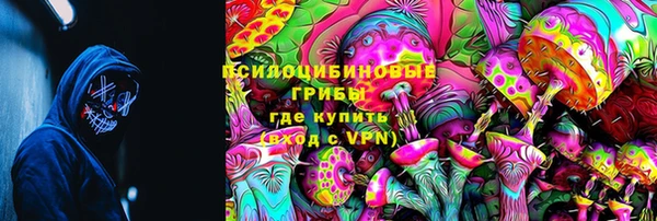 мдпв Корсаков