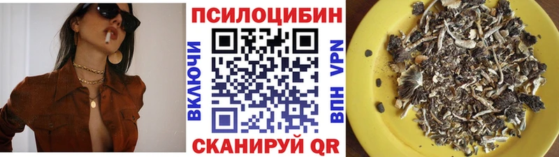 ОМГ ОМГ ТОР  купить наркоту  Курган  Галлюциногенные грибы Magic Shrooms 