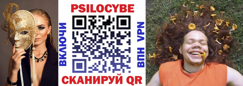Галлюциногенные грибы Psilocybine cubensis Курган